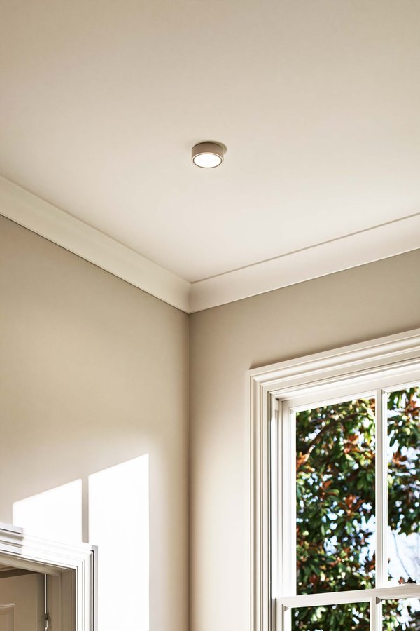 A finished ceiling meeting the wall at the crown molding beside a bright window